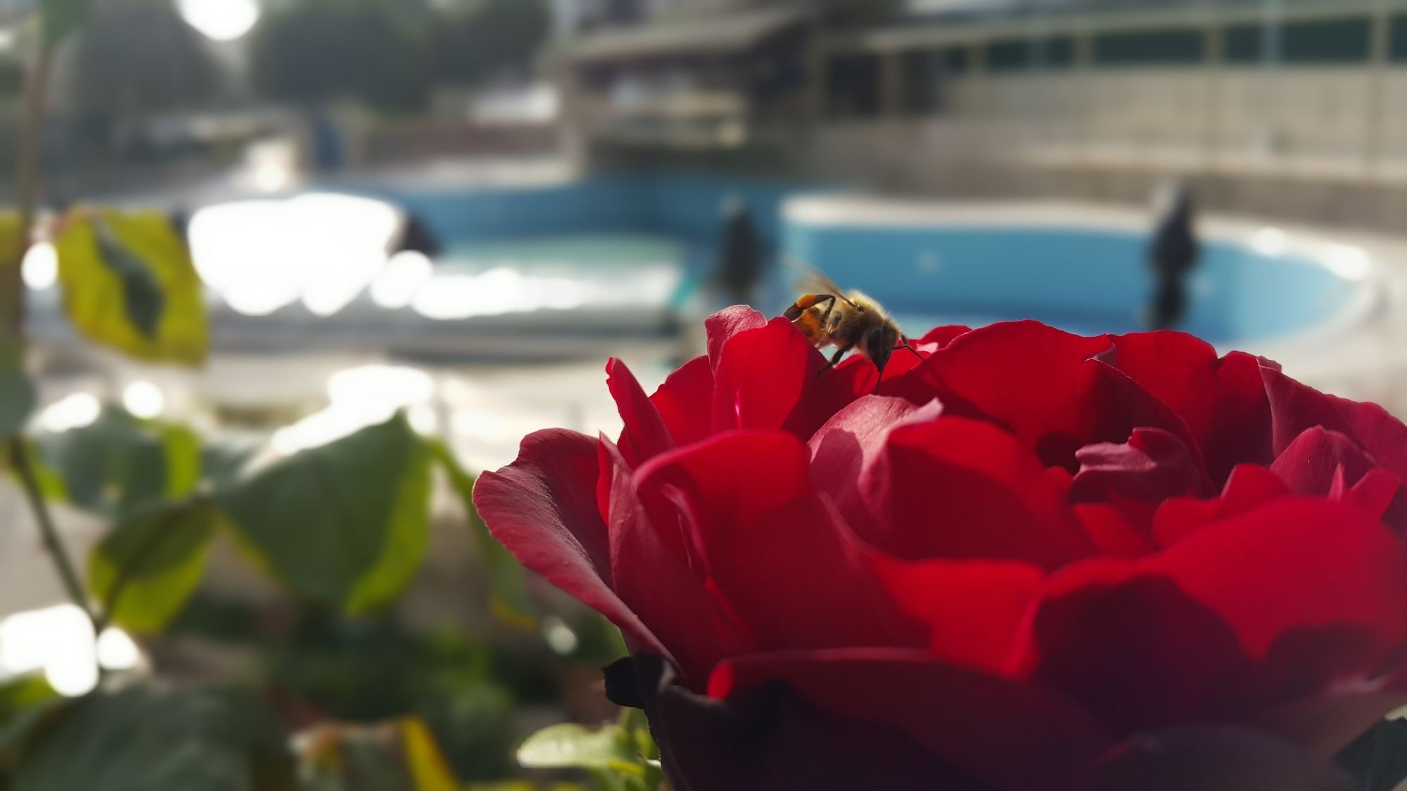 Tu Casa Gelidonya Hotel Kemer Exterior foto
